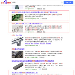 莘塍客户网站排名优化案例